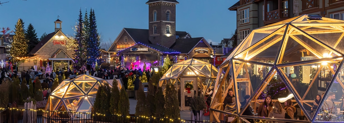 taste-of-oakville-dining-dome